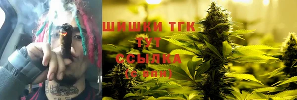 прущий лед Новозыбков